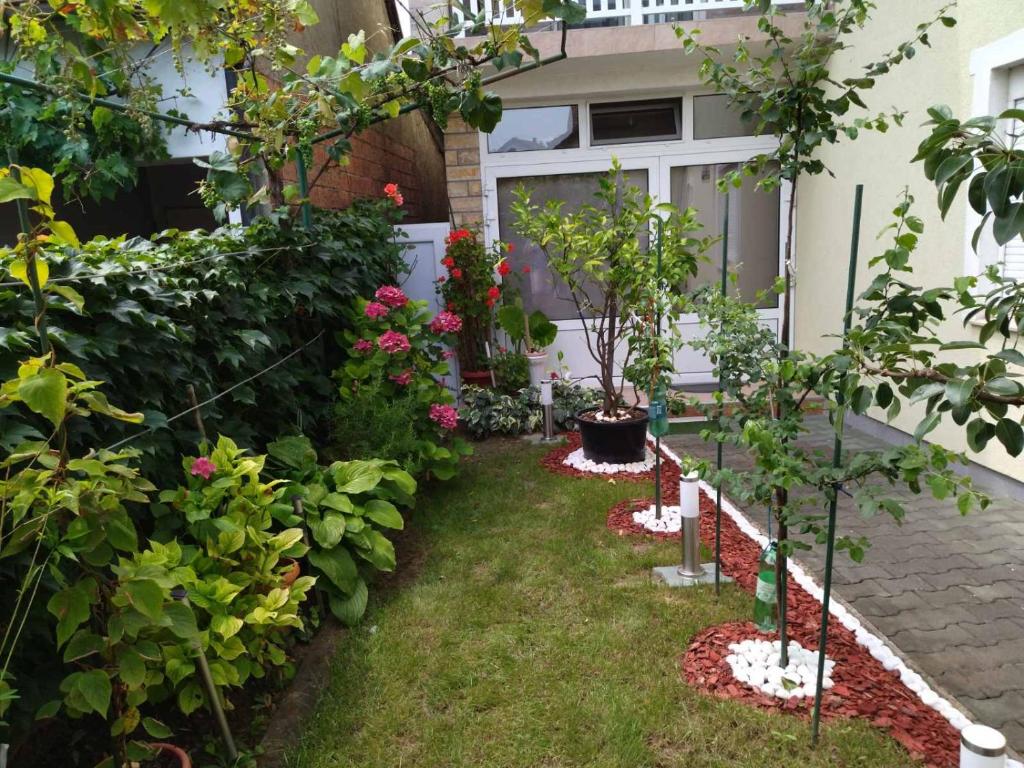 DSC_0014 768x511.jpeg