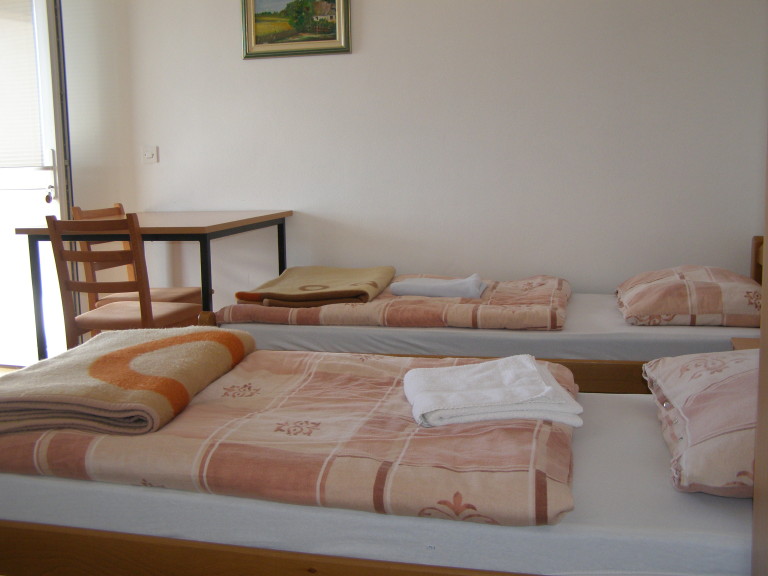 P2040030 768x576.jpeg